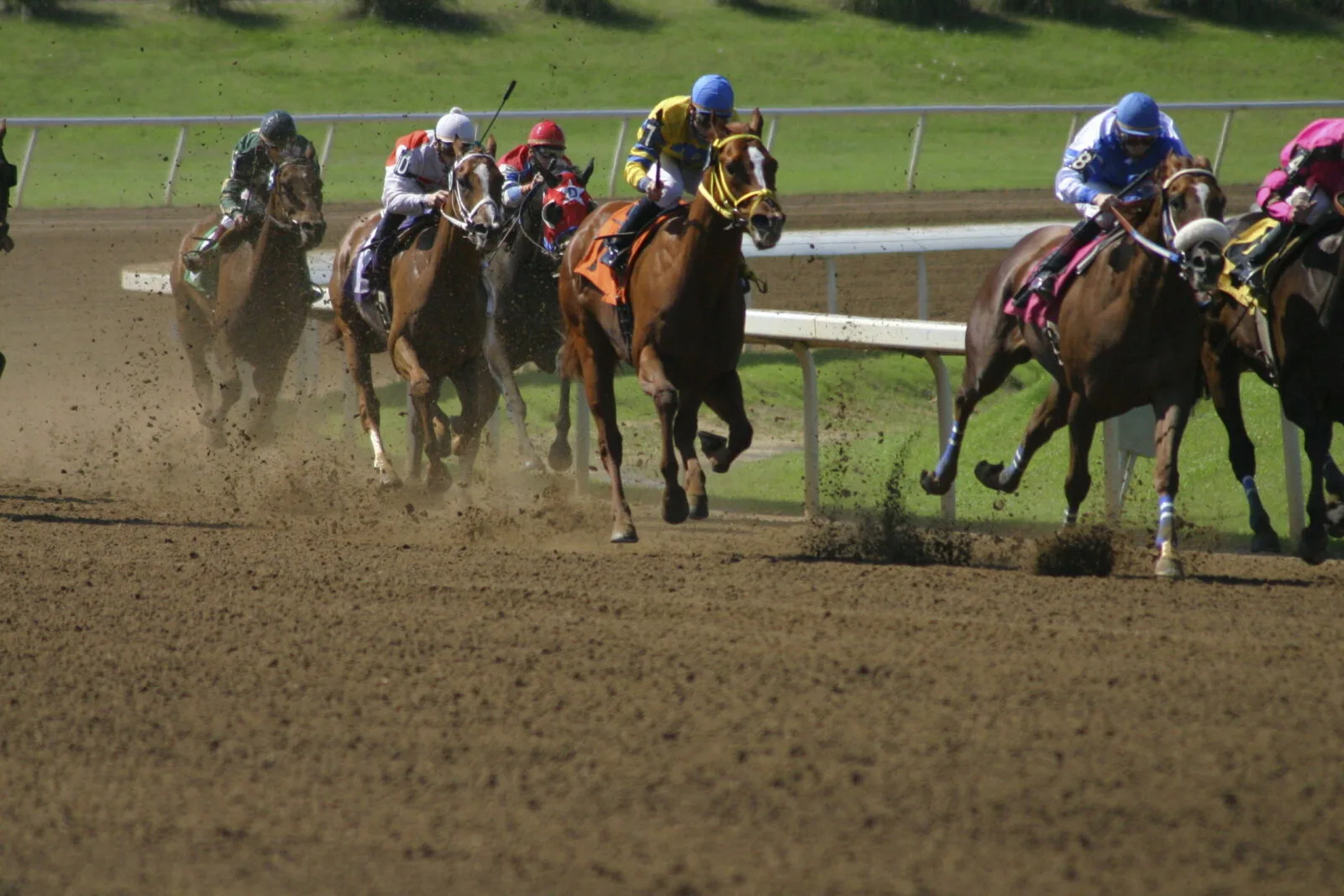 A thoroughbred race at the Saratoga Race Course